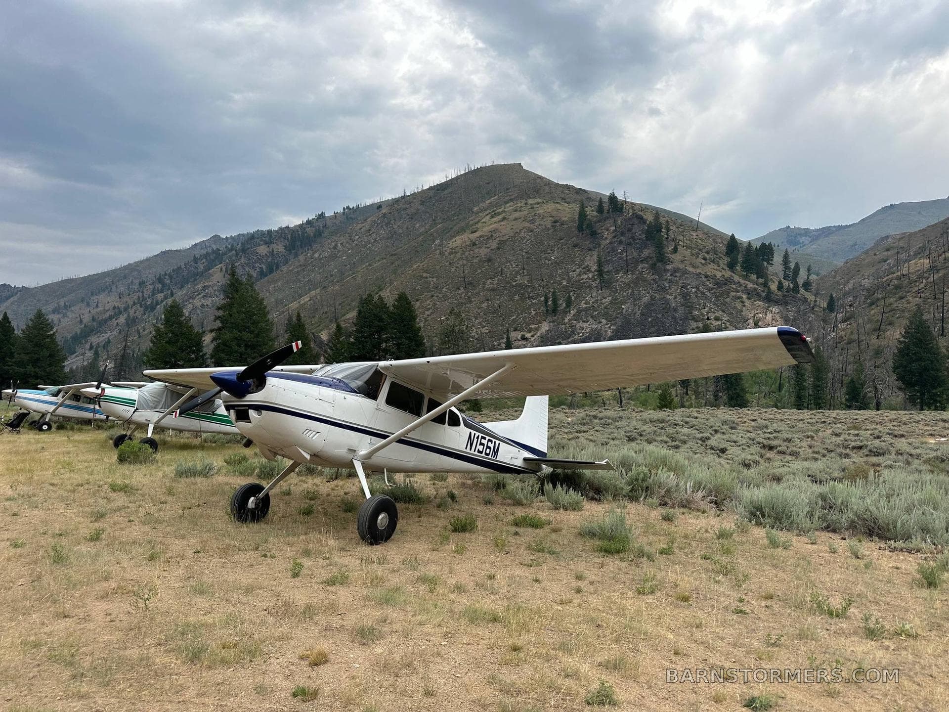 1979 Cessna 180