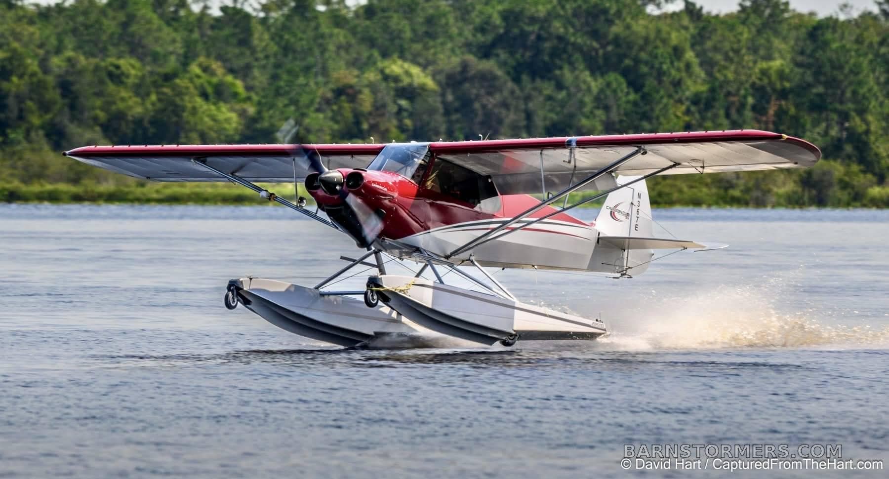 2016 Amphibian