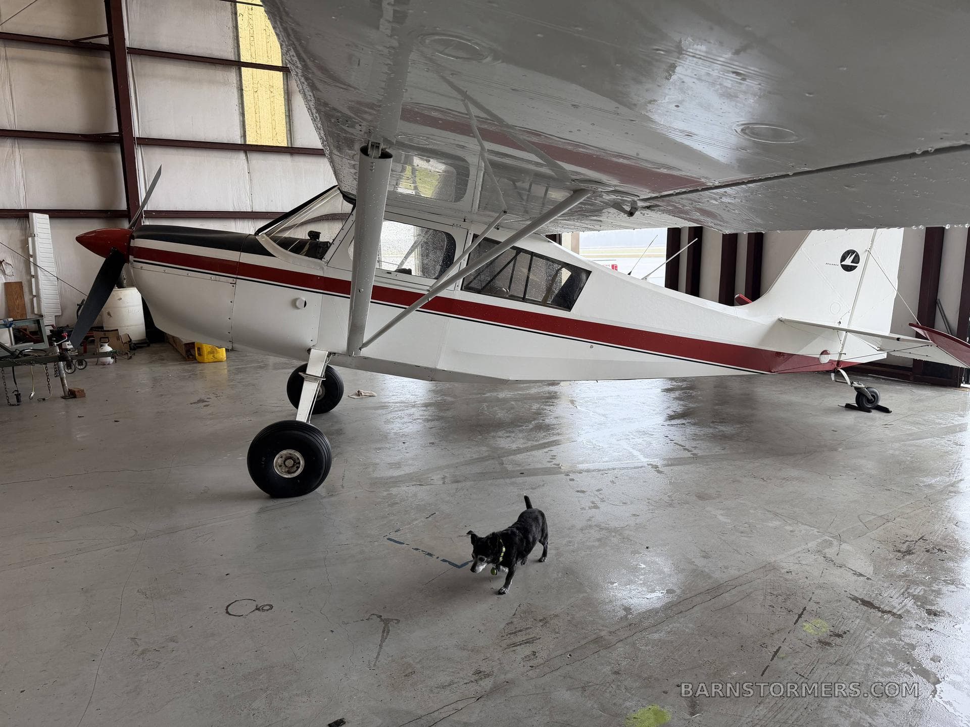 1974 Bellanca Scout
